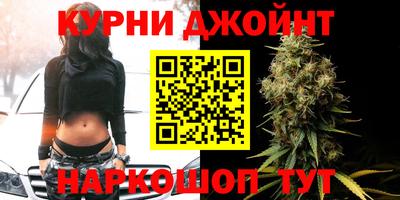 дживик Кингисепп
